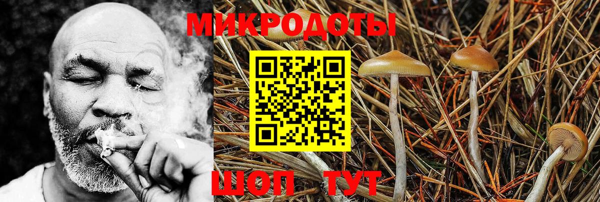 Галлюциногенные грибы прущие грибы  Вход с VPN  купить  цена  Железноводск  Псилоцибиновые грибы мицелий 