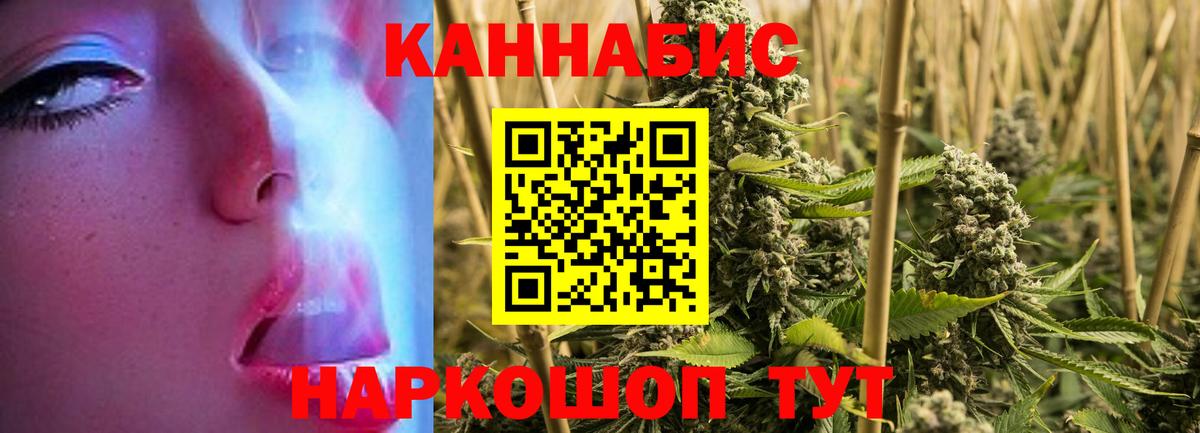 Бошки марихуана сатива Железноводск